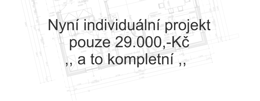 Individuální projekt