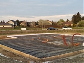 Cestlice6